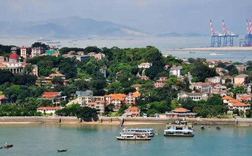 交通：电驴惊魂记