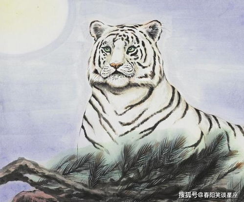 霸气横秋对应哪个生肖？这究竟是什么生肖？