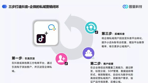 营销策略：线上线下齐发力（别忘了抖音）