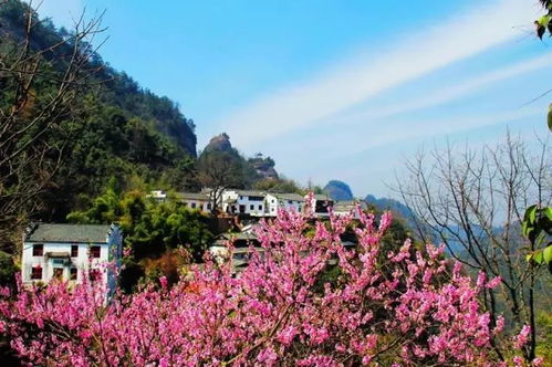 4. 预订住宿与门票