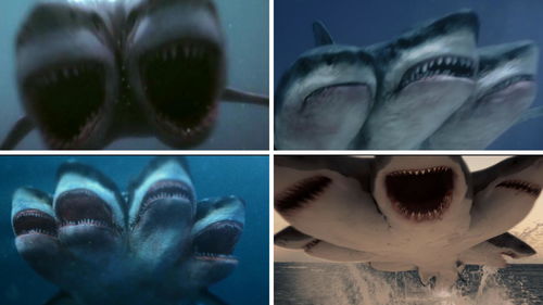 梦到大鲨鱼究竟预示着什么吉凶，是好是坏？