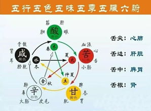 五行相生相克太可怕了！