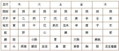 如何通过姓名和出生年月日计算姓名命格？