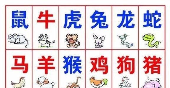 哪个最准确的12生肖配对表能匹配我的生肖？
