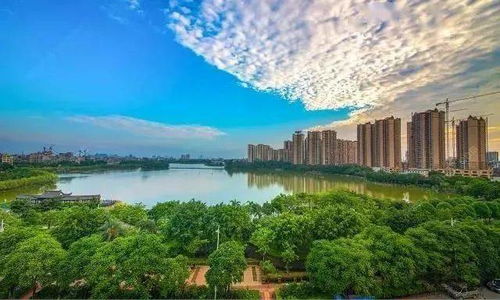 东湖之眼：摩天轮里的世界