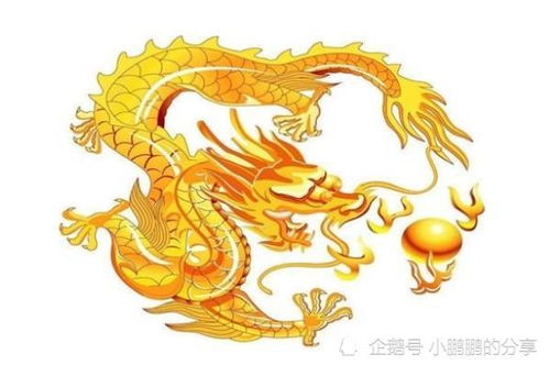 属龙的人今天运势如何？有没有遇到真正的贵人相助？