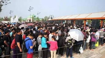 零下5度排队两小时？这帮老人疯了吧！