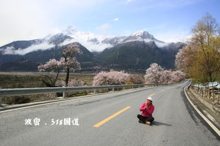 1.1 流潮花海——颜色冲突较大派对
