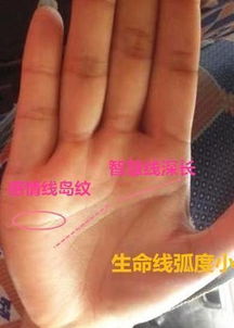 不同生肖 “犯太岁” 的情感应对指南（乱炖版）