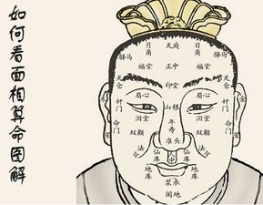 2）人中——人生轨迹的分水岭