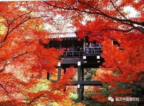 四川：九寨沟与稻城亚丁