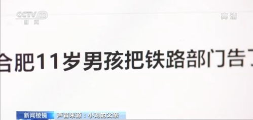 社会周边环境呼声与政策调整