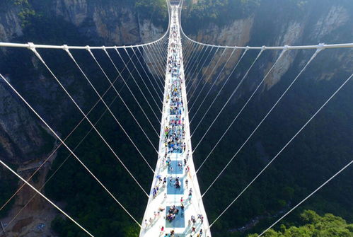 重要提示：别忘了厕所!