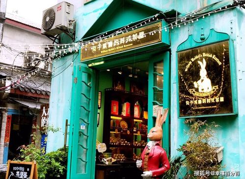 金枫酒店旅游攻略路线：别再被“打卡清单”骗了这才是北京东北部的“反骨”玩法