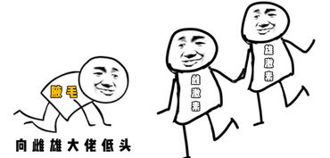 1. 十二生肖的鸟屎劫