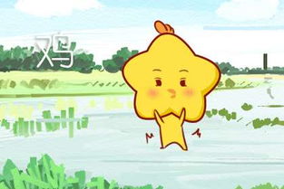 属鸡男士性格优缺点及微信昵称含义是什么？