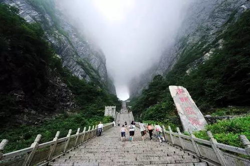 天门山：别挤玻璃栈道了