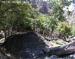 导航都是骗人的！气死我了！