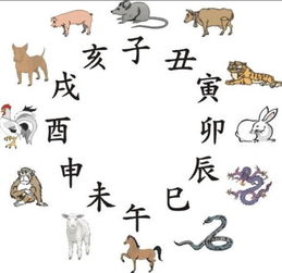 癸巳日属相中，哪些属相与癸巳五行相生，蕞旺呢？