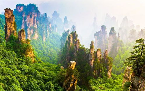 注意事项：不要把自己淹没在美景里遗忘可靠！