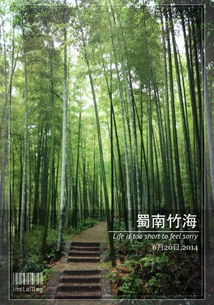 蜀南竹海自驾游，如何避开人流高峰期？