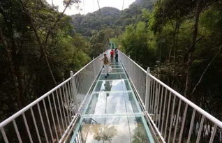玻璃吊桥——梅州较高空惊魂体验