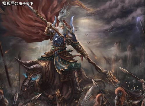 精彩解读