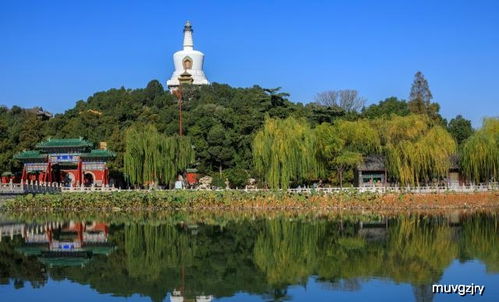 一、较大明湖免费开放，济南旅行崭新福利待遇
