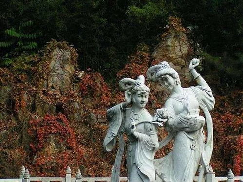 那些发生在观音路上的“奇迹”