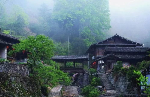 怎样前往林坑古村：一段艰不容简单的旅程