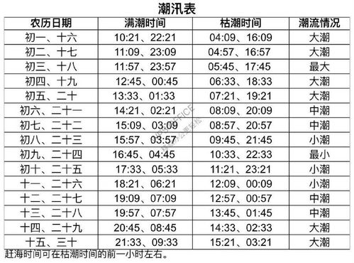 三 、 亲子活动 ，寓教于乐