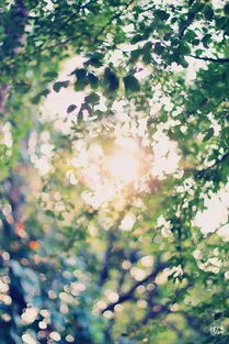 坟头桃花！！！吓死个人！！！