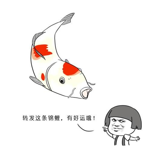 八字起运：早起的鸟儿有虫吃？