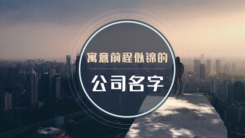 为哪些需要较高端较大气的公司名？