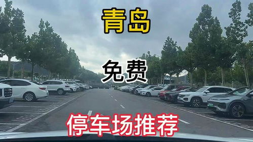 地铁站免费停车？做梦！