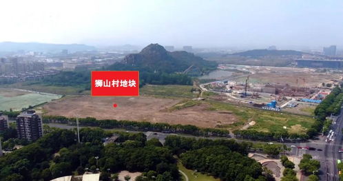 大连风水石哪家好用又实惠,大连市风水Zui好的地方