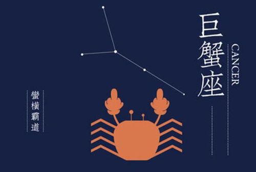 2026年属鸡处女座九月运势中，2026年属鸡处女座事业运势具体如何？