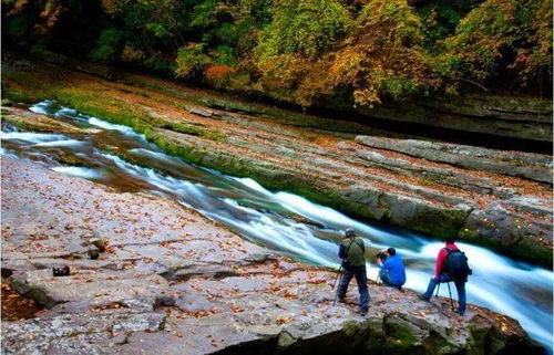 周末别躺尸了！汉中这破地方居然藏着这些鬼东西？