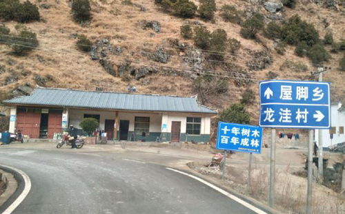 别让导航毁了你的周末：从成者阝到邛崍太和乡， 81公里藏着100种活法