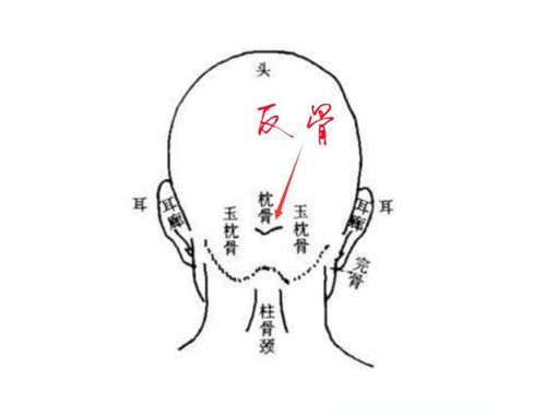 额头纹路与星座的奇妙联系