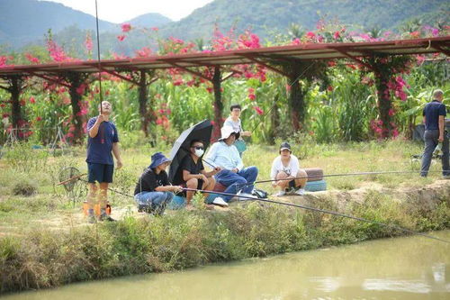 富田农场的魅力