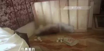 第一章：那年花开的宾馆