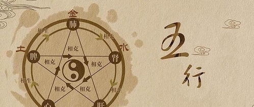 一开始的那些奇葩名字…