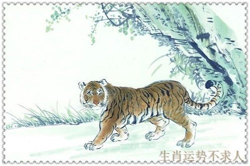 1986年属虎男性在2026年财运最好的方位是哪里？运势如何？