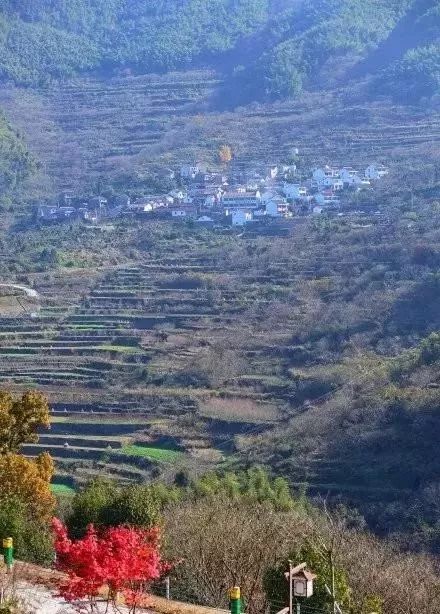 二、绕道风景：绵阳人（其实是成者阝人）的春日小迷路