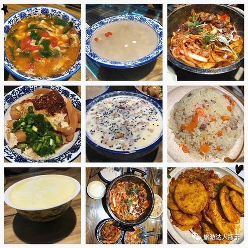 美食篇：喷射战士养成计划