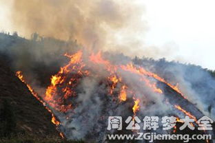梦见火烧山是什么预兆或心理暗示？