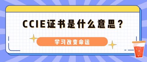 风水布局：怎样让你的CCIE证书发挥最较大效力？