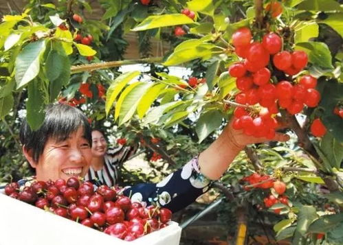 三、怎么去？交通指南+隐藏小技巧（请自行斟酌平安性）