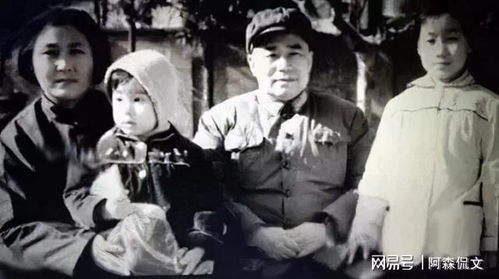 陈半仙老婆开塔吊，能算出八字命运吗？